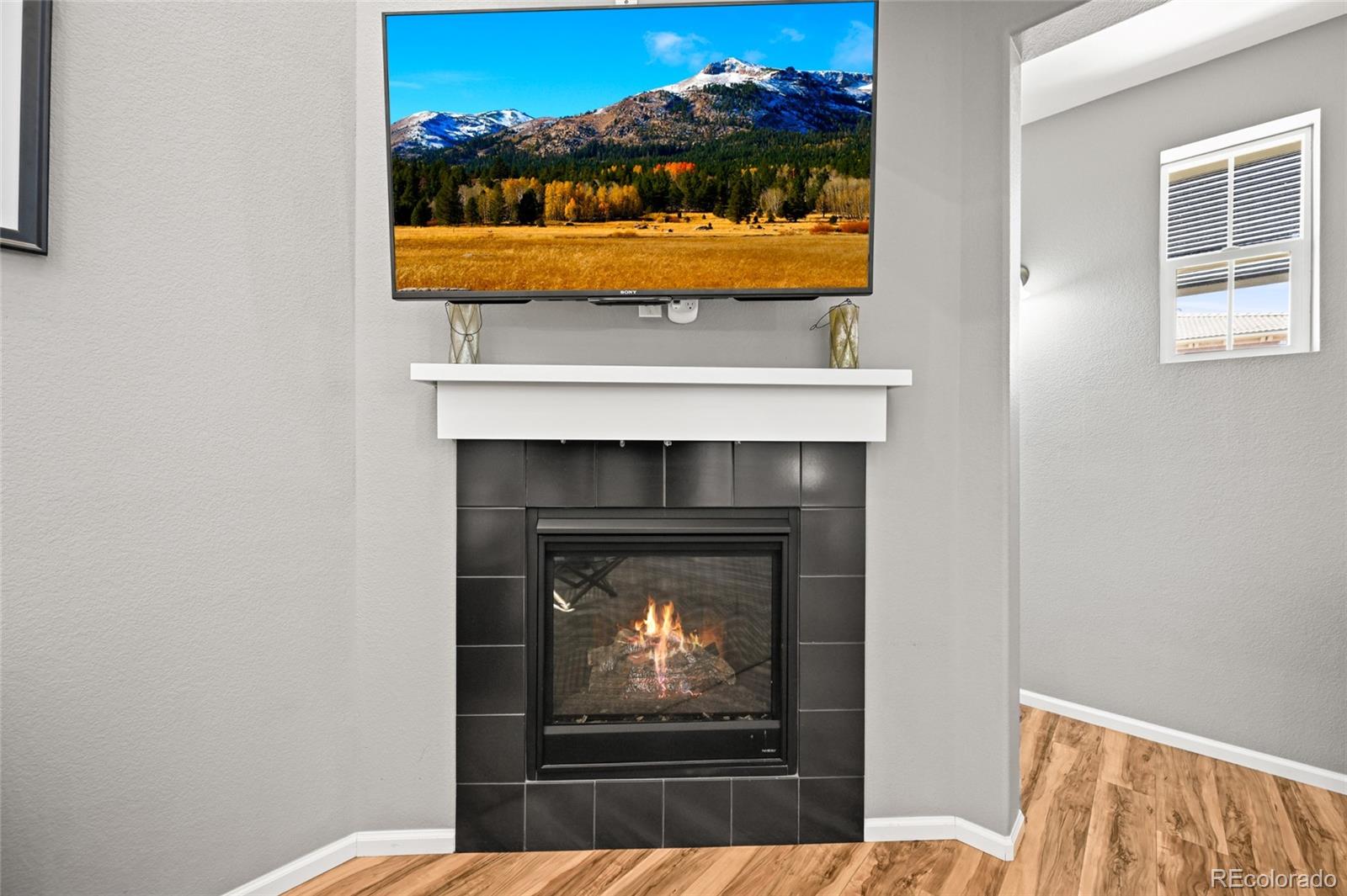 MLS Image #6 for 9452  loggia street c,highlands ranch, Colorado