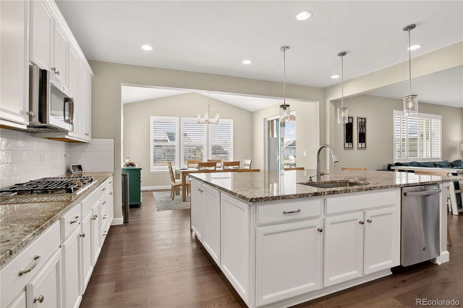 MLS Image #14 for 8923  animas river street,littleton, Colorado