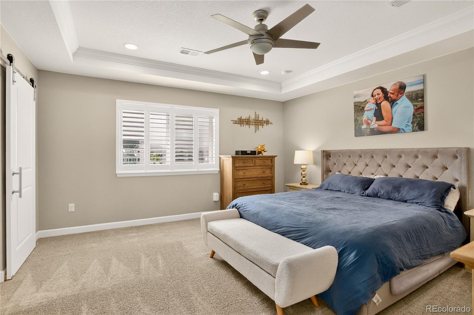 MLS Image #20 for 8923  animas river street,littleton, Colorado