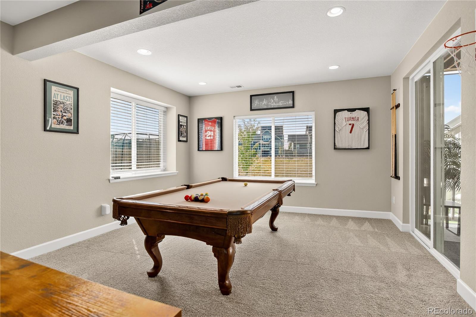 MLS Image #36 for 8923  animas river street,littleton, Colorado
