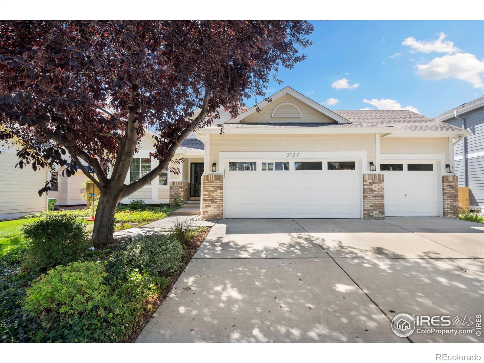 MLS Image #1 for 2127  andrews street,fort collins, Colorado