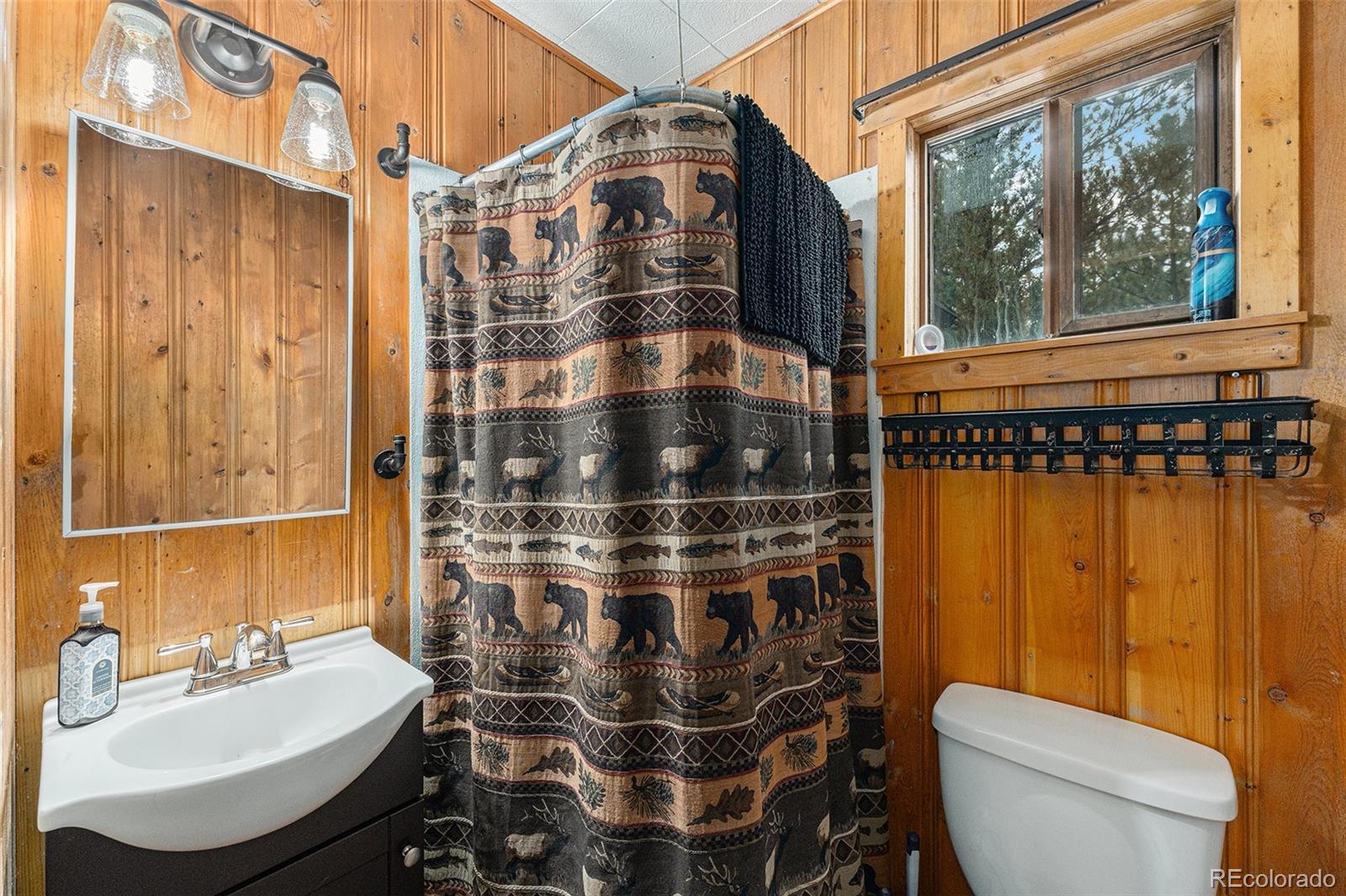 MLS Image #8 for 83  anderson road,bailey, Colorado