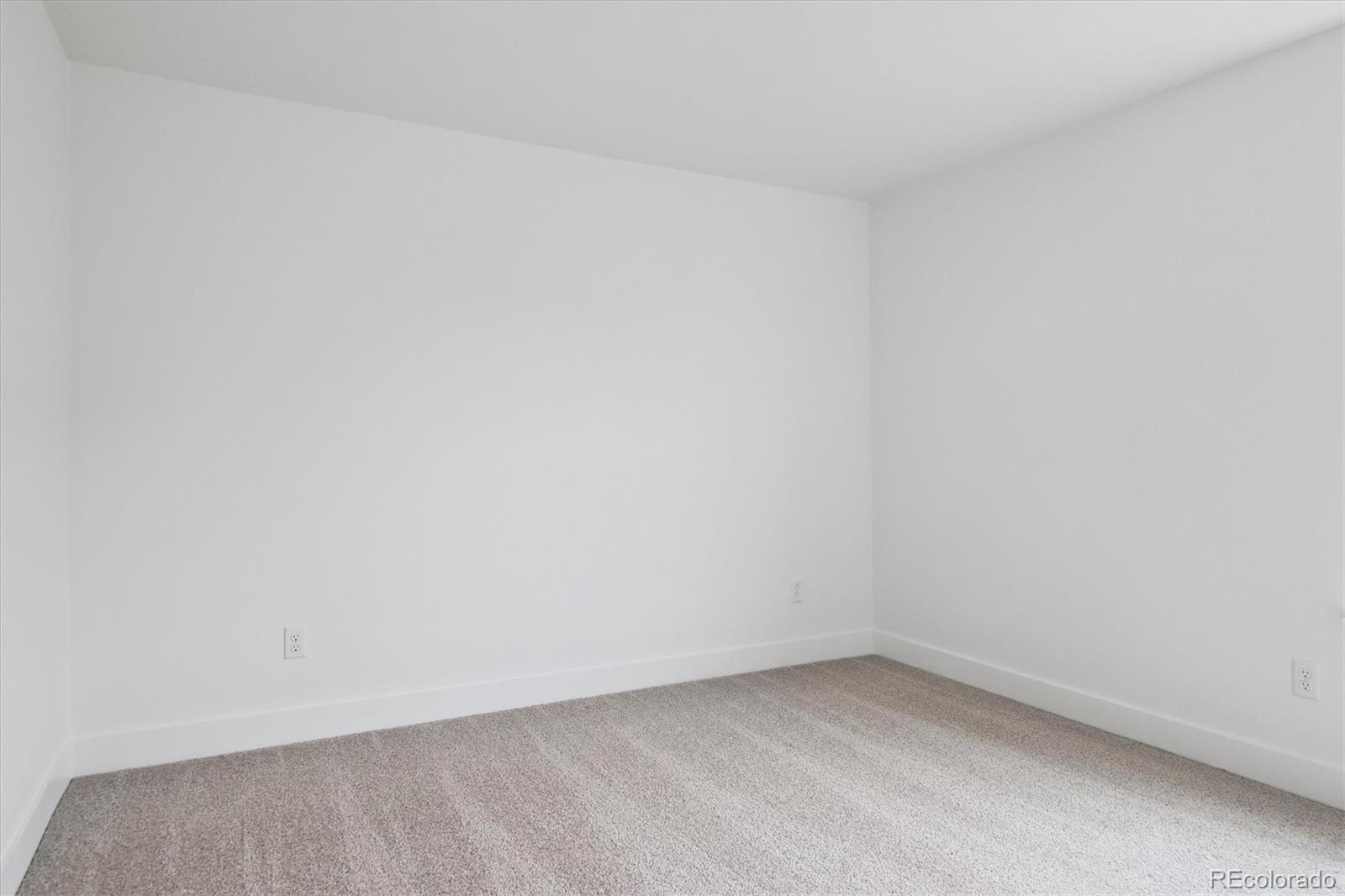 MLS Image #16 for 8316  snake river street,littleton, Colorado