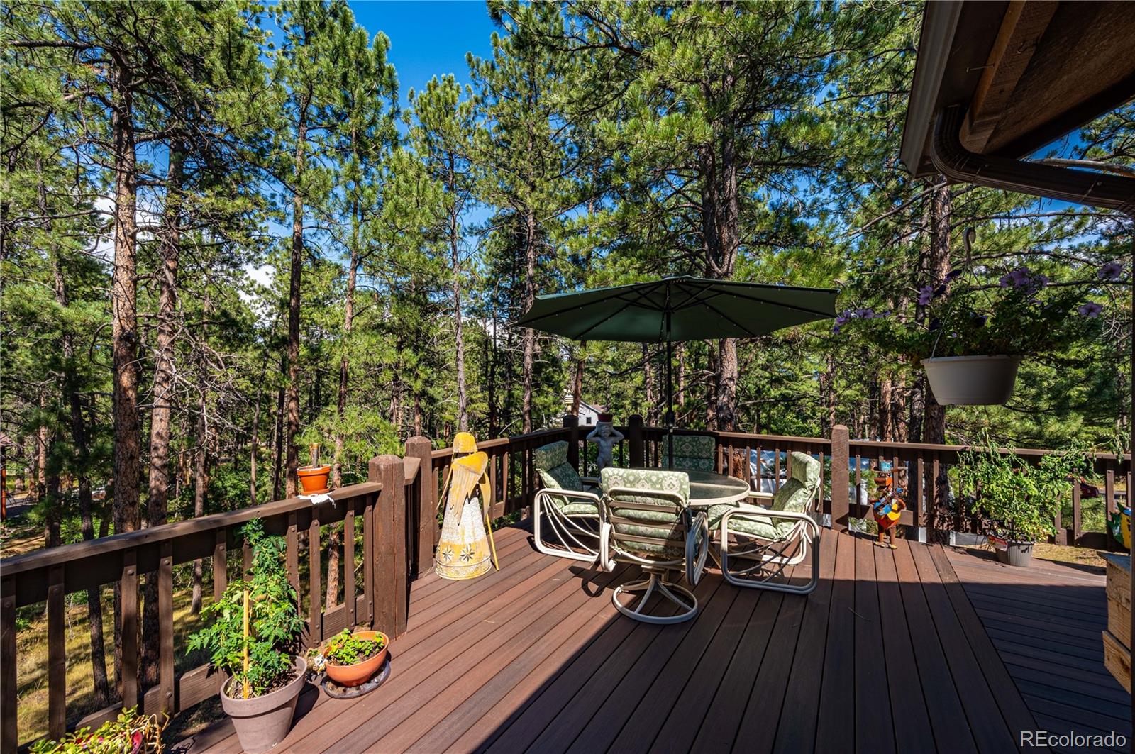 MLS Image #13 for 7057  perry park boulevard,larkspur, Colorado