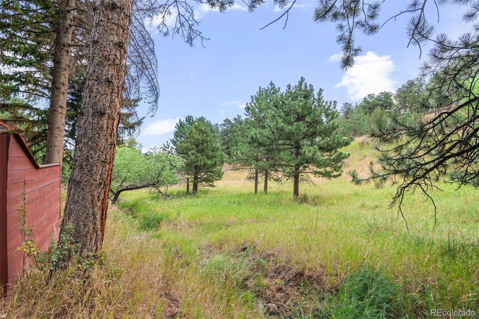 MLS Image #31 for 23705  bluestem drive,golden, Colorado