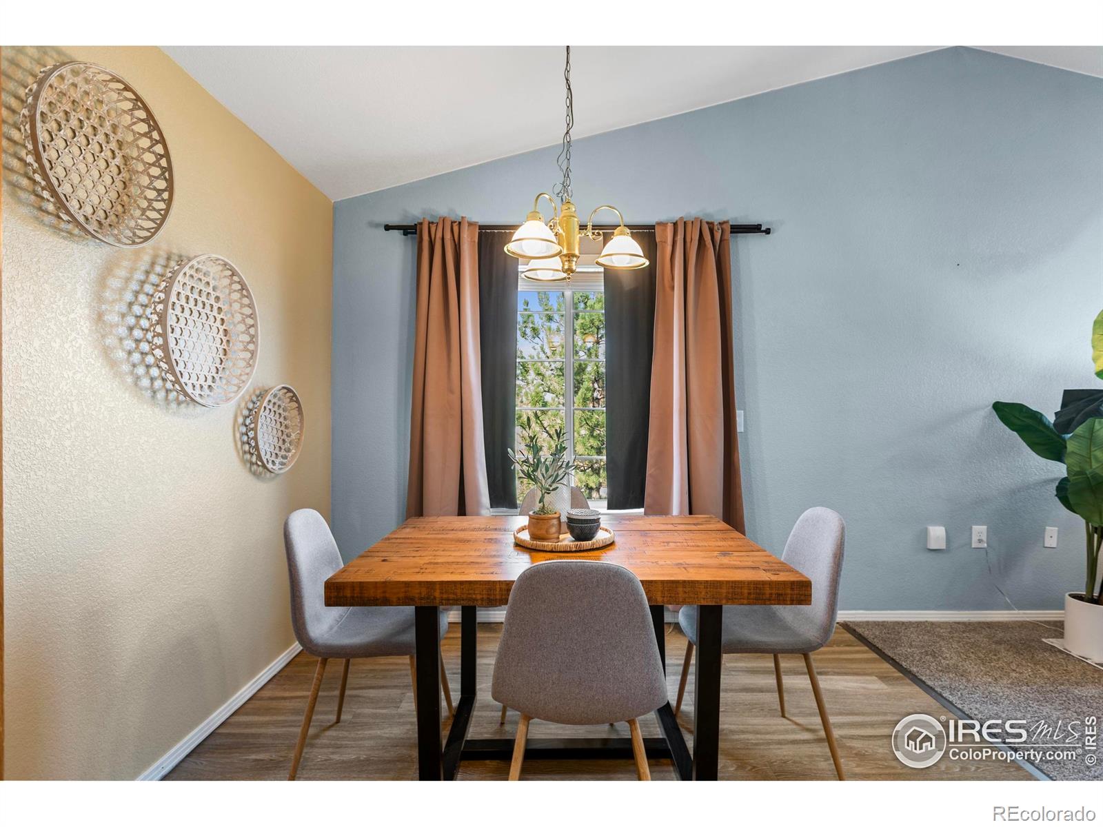 MLS Image #11 for 3002 w elizabeth street,fort collins, Colorado