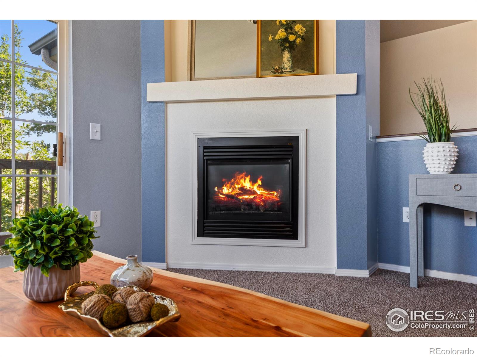 MLS Image #9 for 3002 w elizabeth street,fort collins, Colorado
