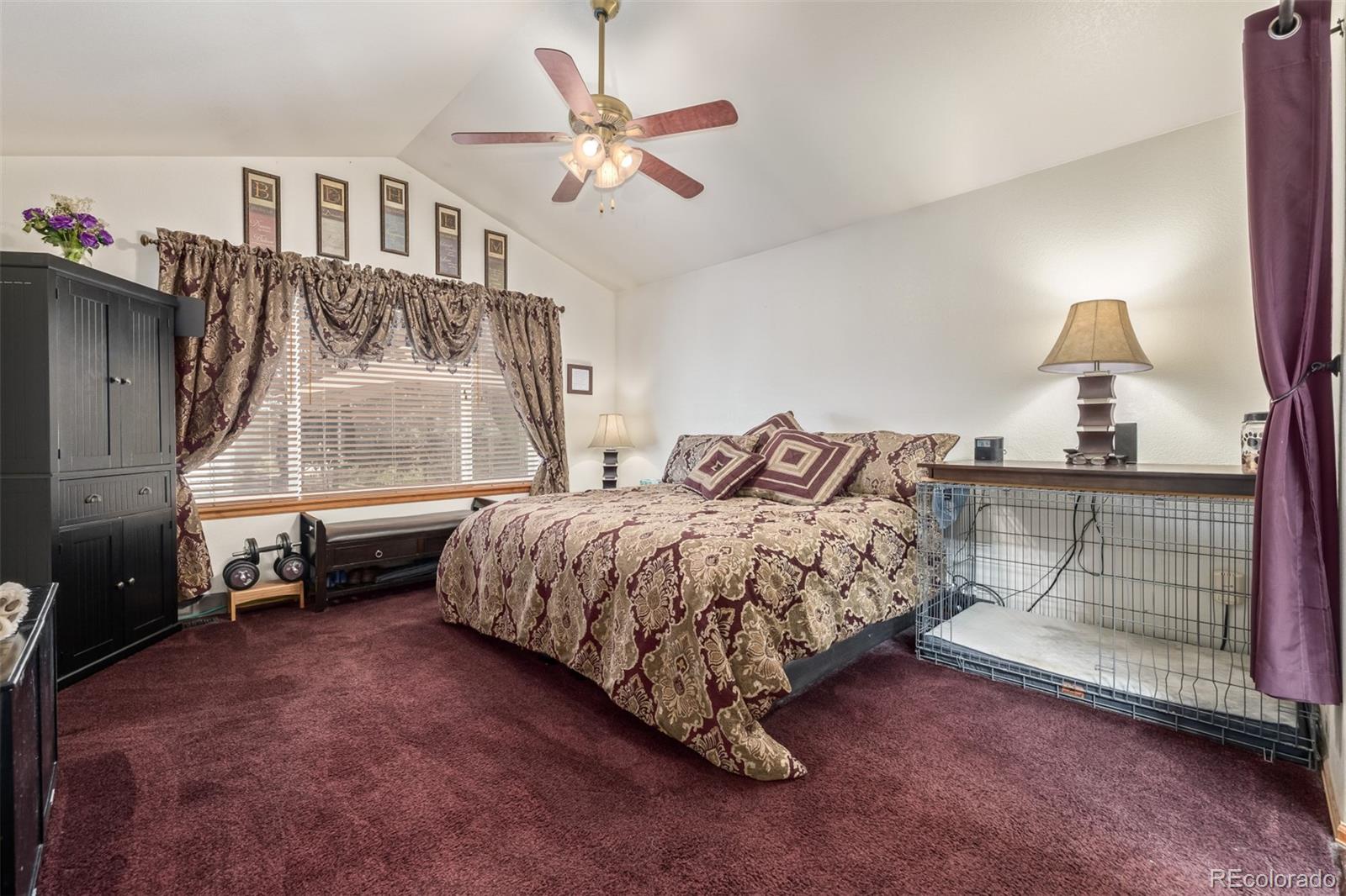 MLS Image #12 for 8463  bed straw street,parker, Colorado