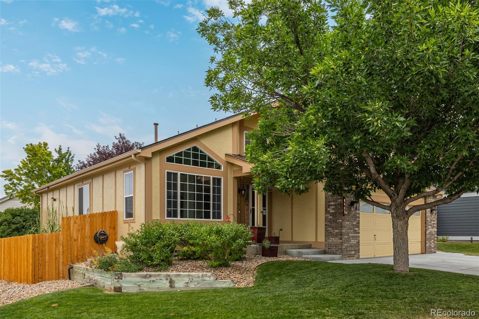 MLS Image #2 for 8463  bed straw street,parker, Colorado