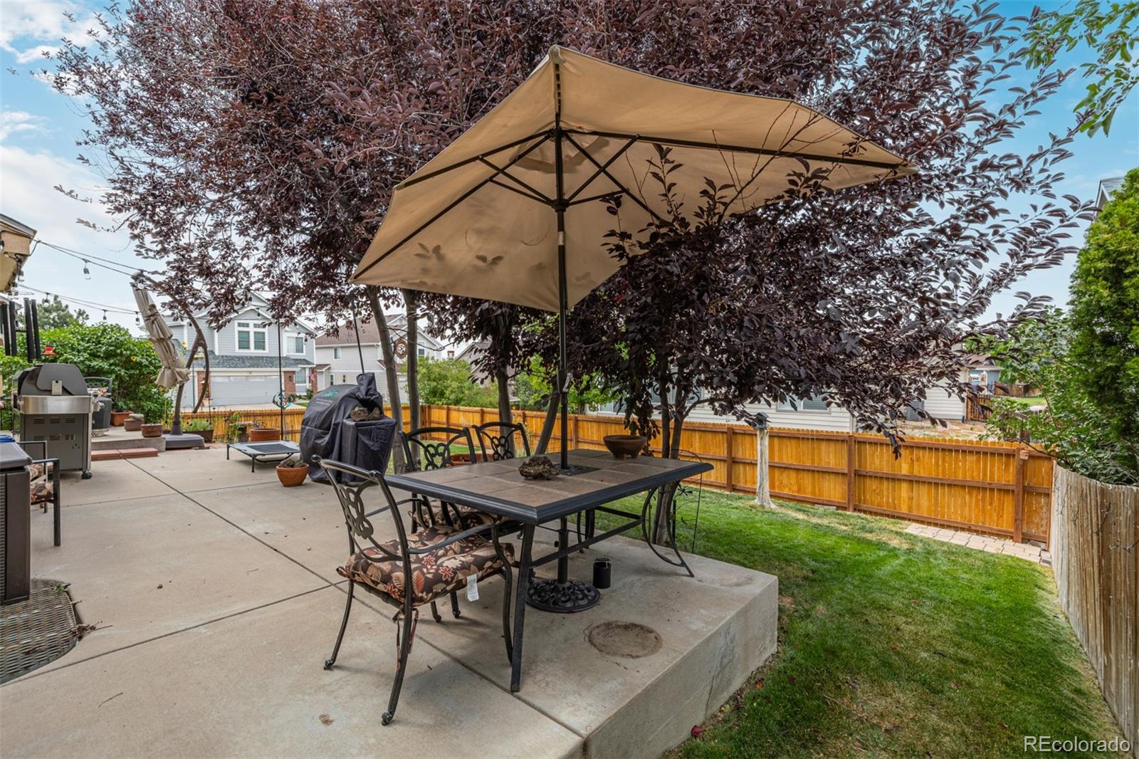 MLS Image #23 for 8463  bed straw street,parker, Colorado