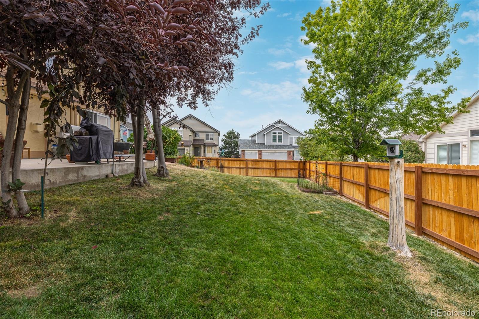 MLS Image #25 for 8463  bed straw street,parker, Colorado
