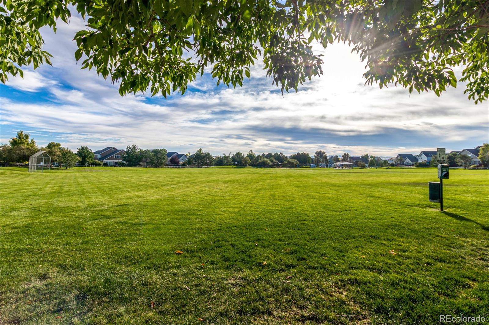 MLS Image #29 for 8463  bed straw street,parker, Colorado