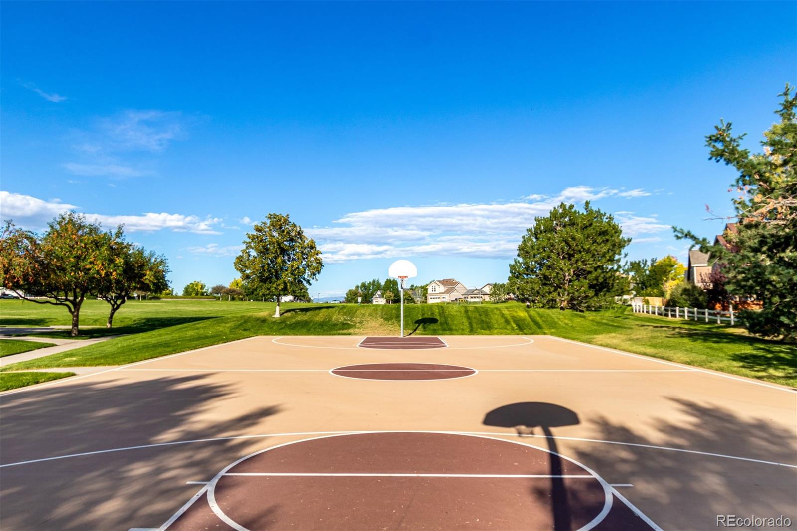 MLS Image #32 for 8463  bed straw street,parker, Colorado