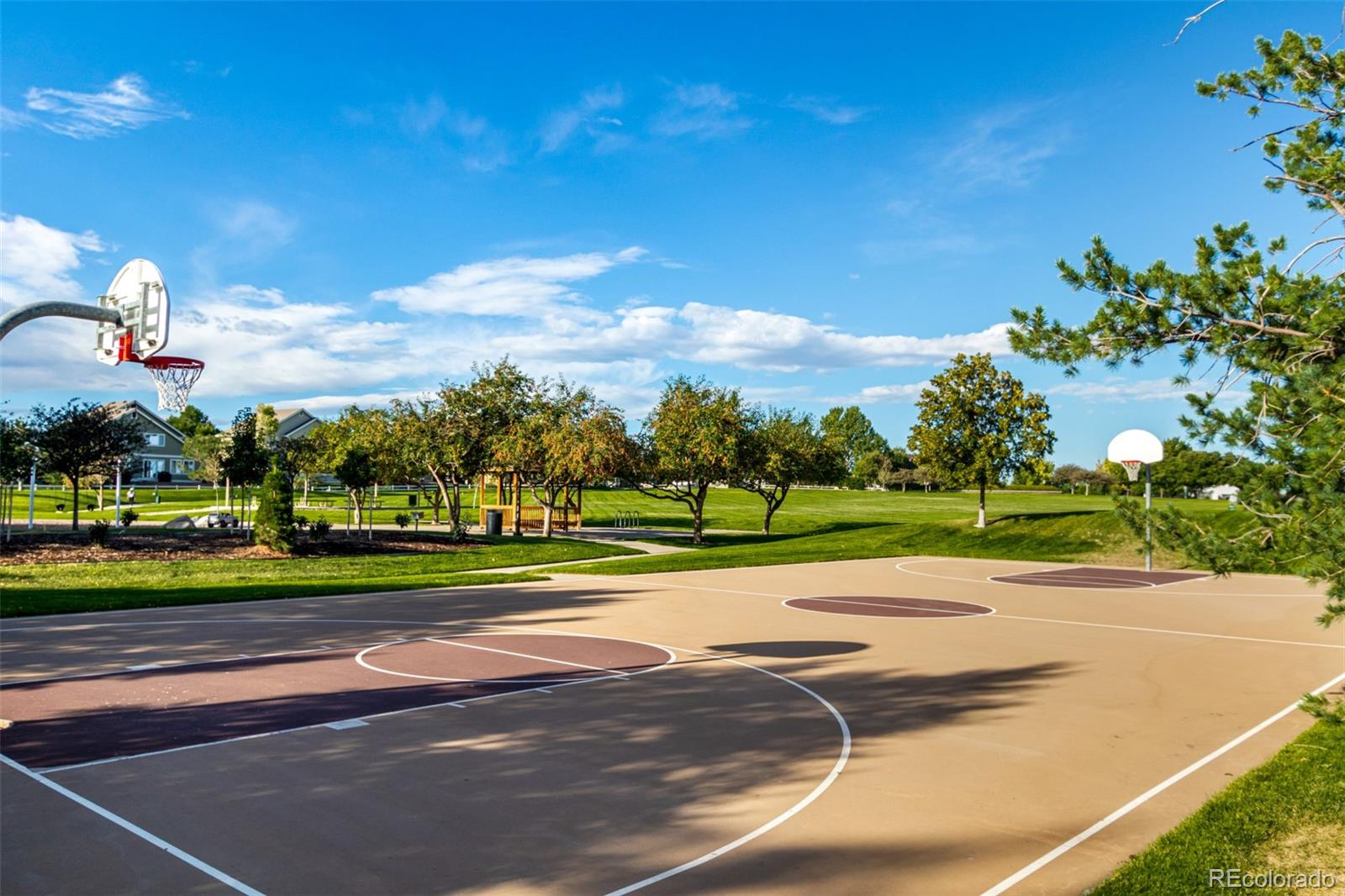 MLS Image #33 for 8463  bed straw street,parker, Colorado