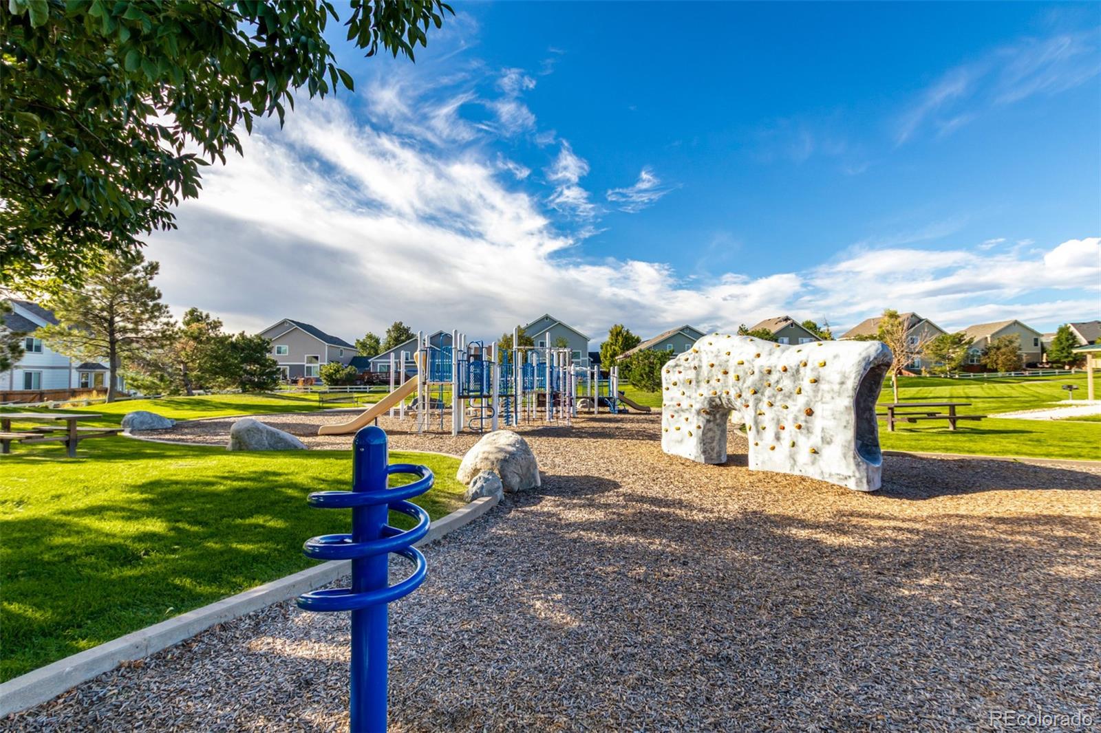 MLS Image #35 for 8463  bed straw street,parker, Colorado