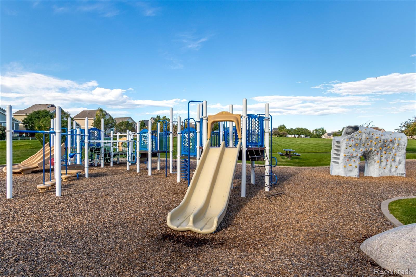 MLS Image #36 for 8463  bed straw street,parker, Colorado