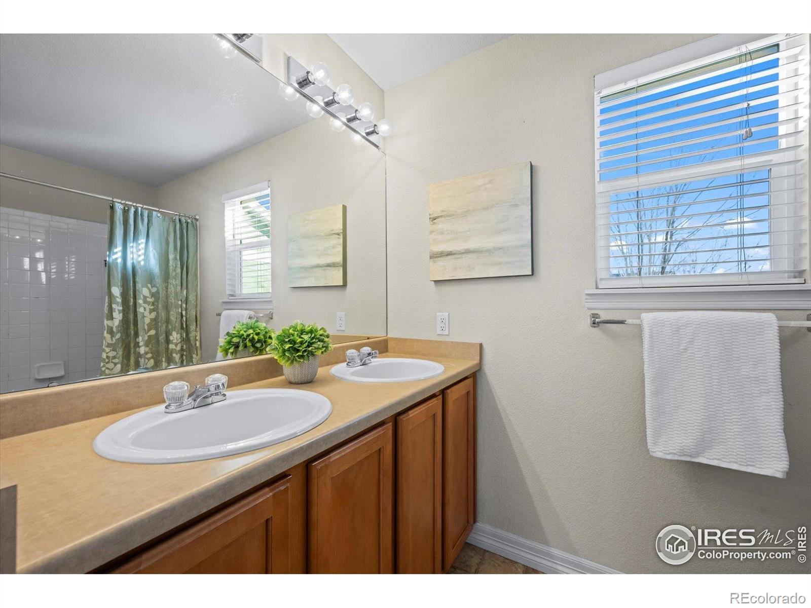 MLS Image #14 for 10691  durango place,longmont, Colorado