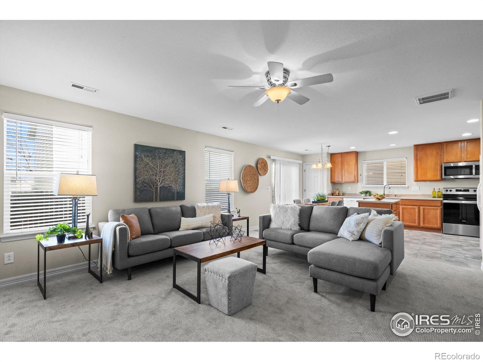 MLS Image #3 for 10691  durango place,longmont, Colorado