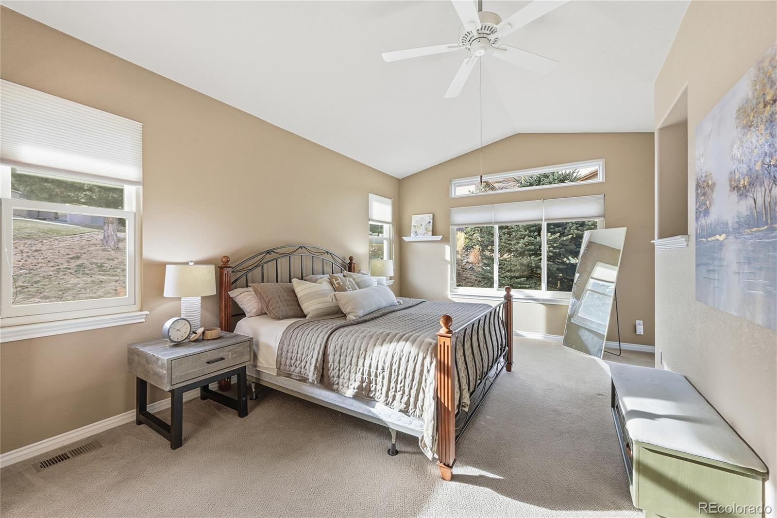 MLS Image #15 for 6842  raspberry run,littleton, Colorado