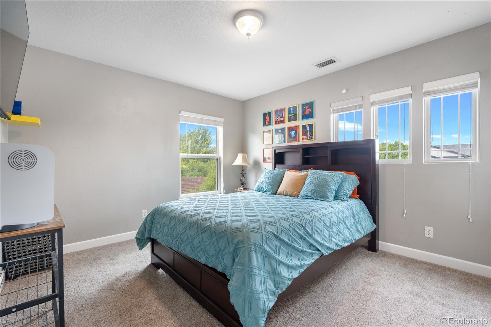 MLS Image #25 for 5839  raleigh circle,castle rock, Colorado