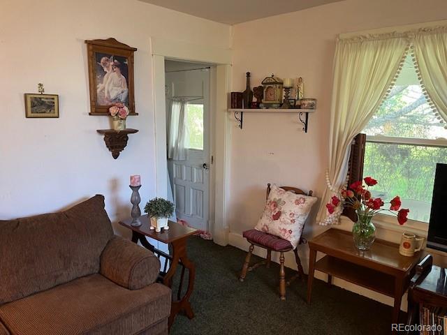 MLS Image #38 for 10495  county road 11 ,san luis, Colorado