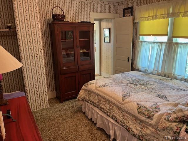 MLS Image #42 for 10495  county road 11 ,san luis, Colorado