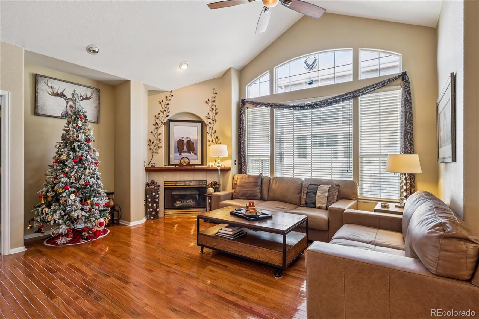 MLS Image #11 for 3123  newport circle ,castle rock, Colorado