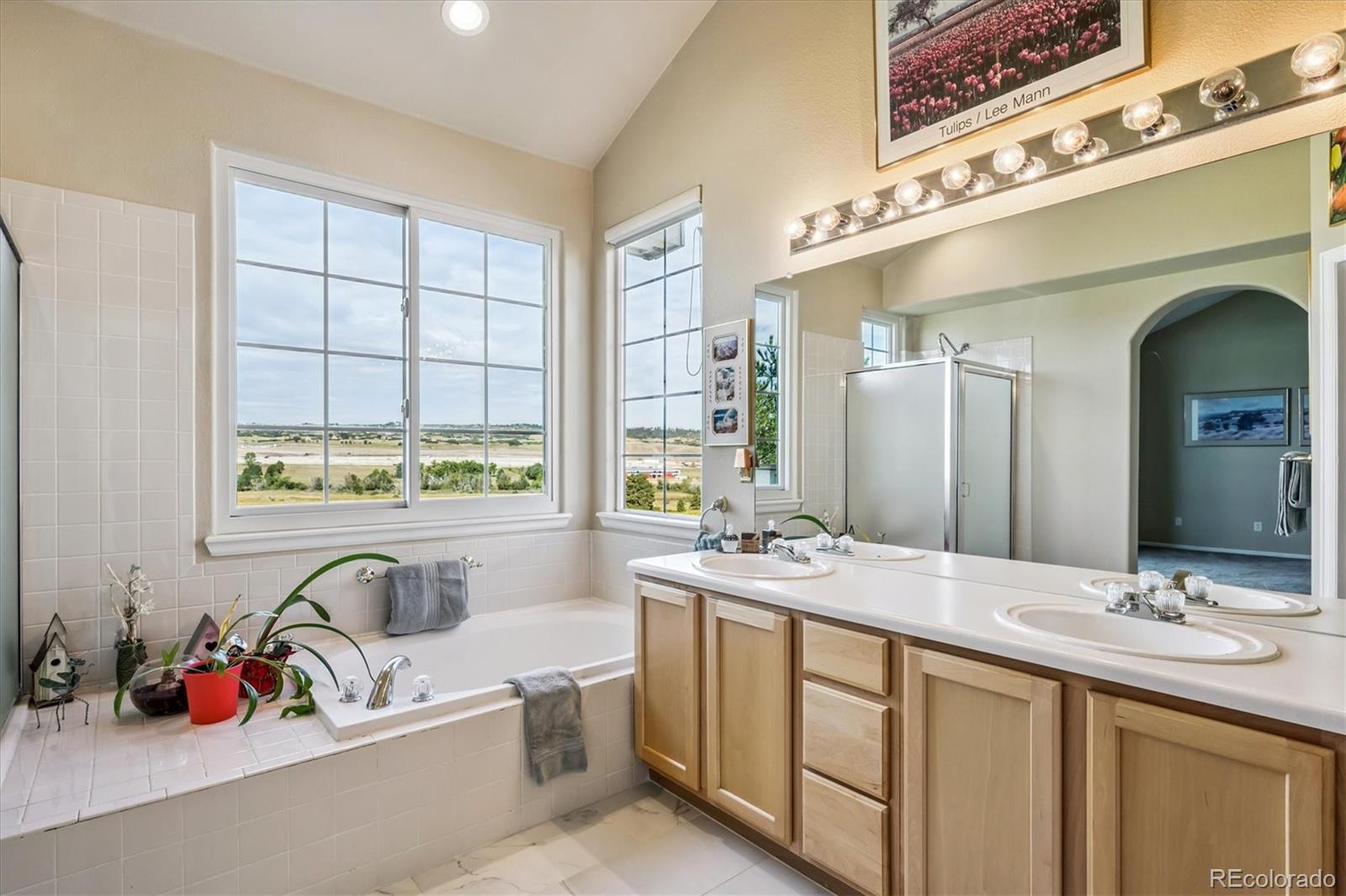 MLS Image #21 for 3123  newport circle ,castle rock, Colorado