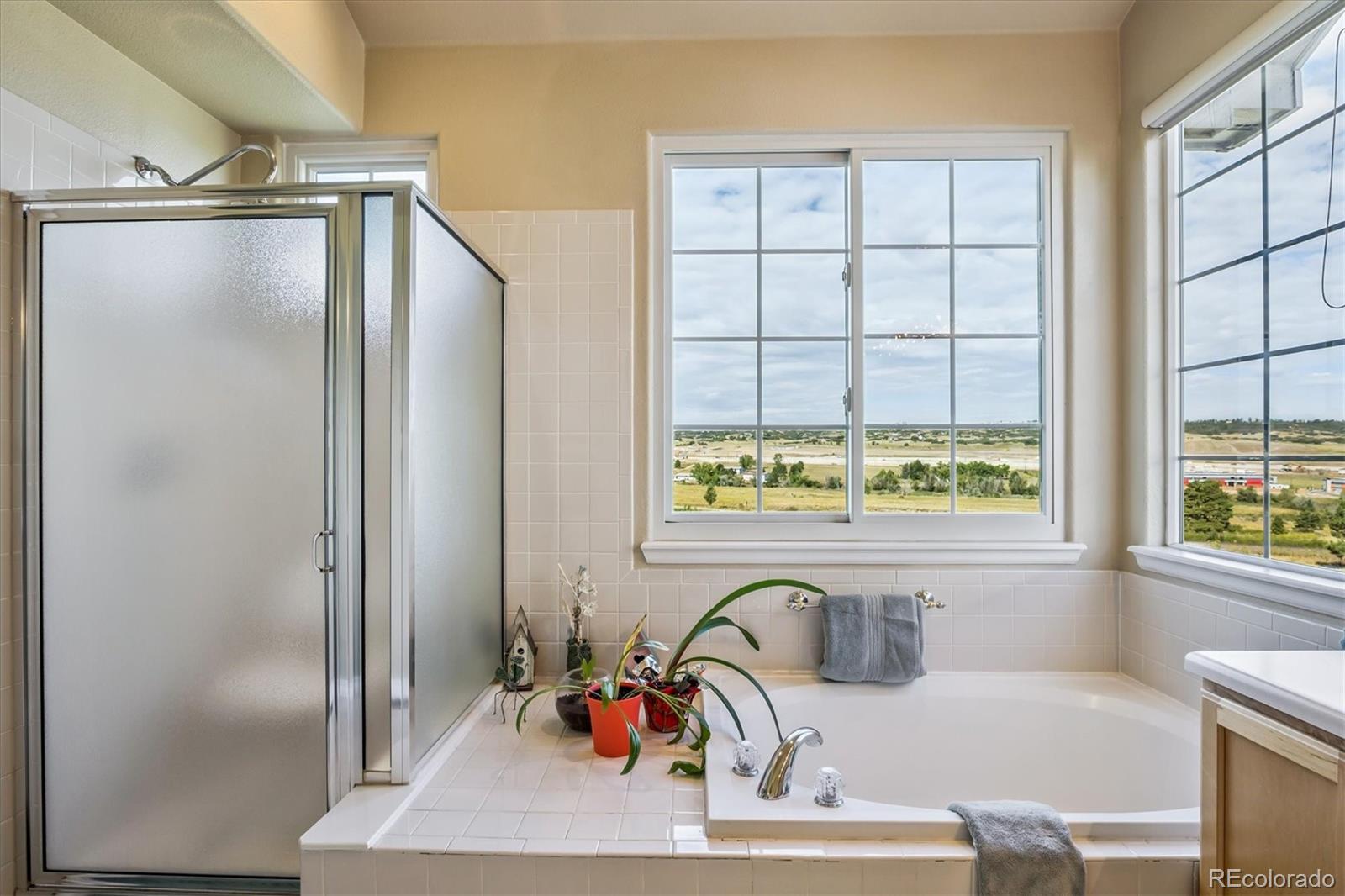 MLS Image #22 for 3123  newport circle ,castle rock, Colorado