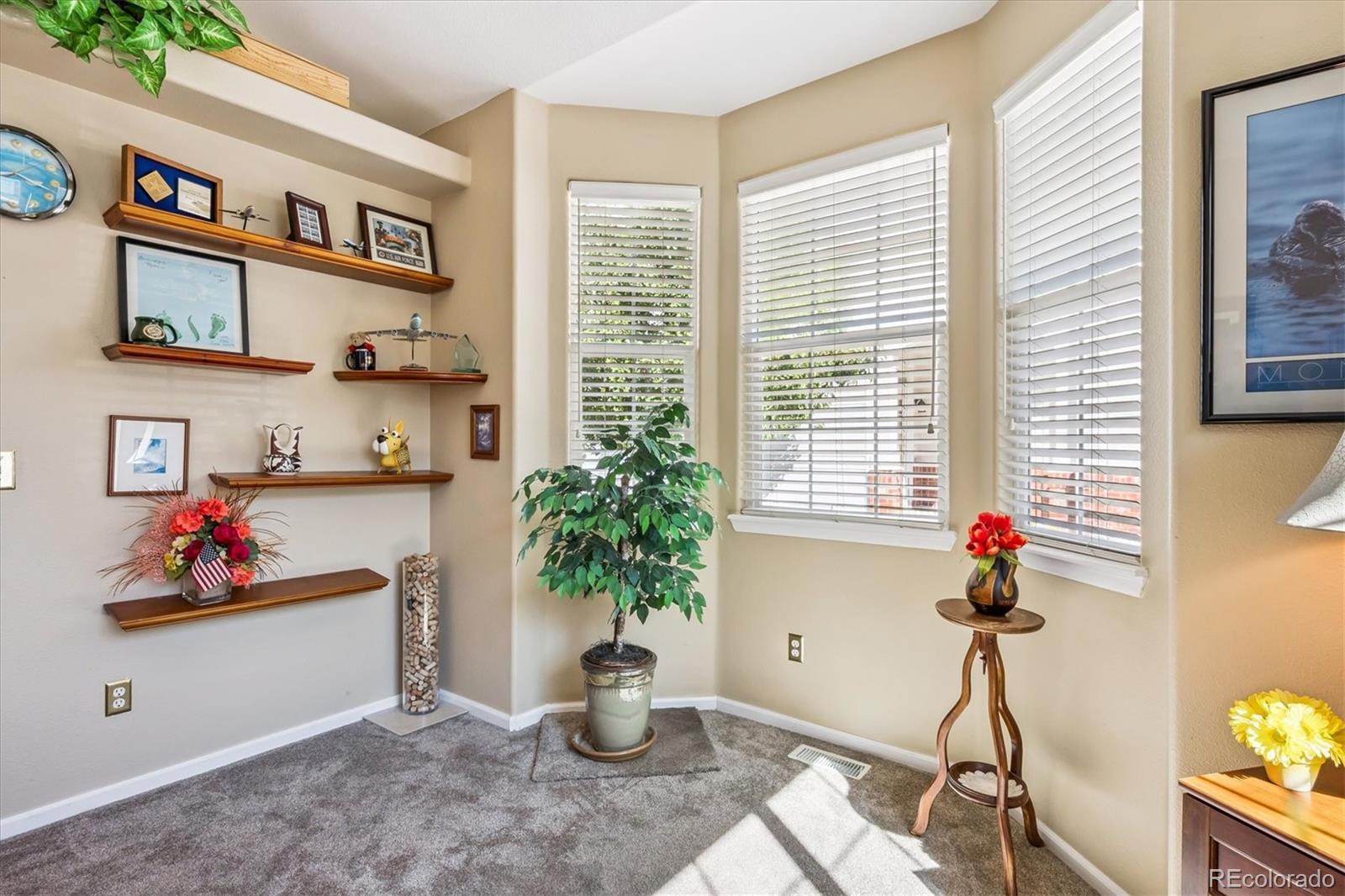 MLS Image #25 for 3123  newport circle ,castle rock, Colorado