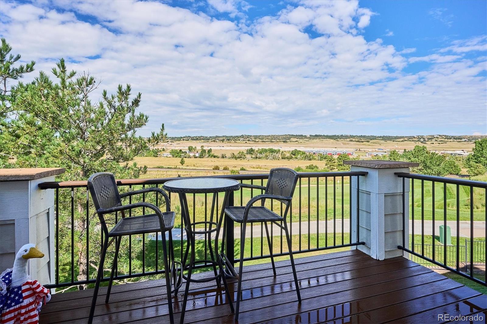 MLS Image #4 for 3123  newport circle ,castle rock, Colorado