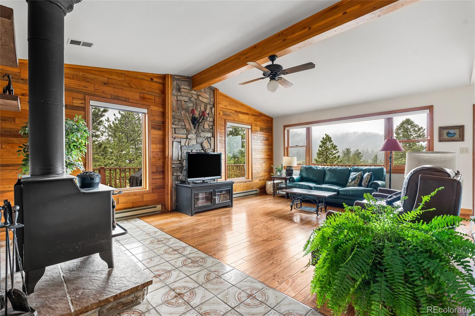 MLS Image #18 for 48  allen circle,pine, Colorado