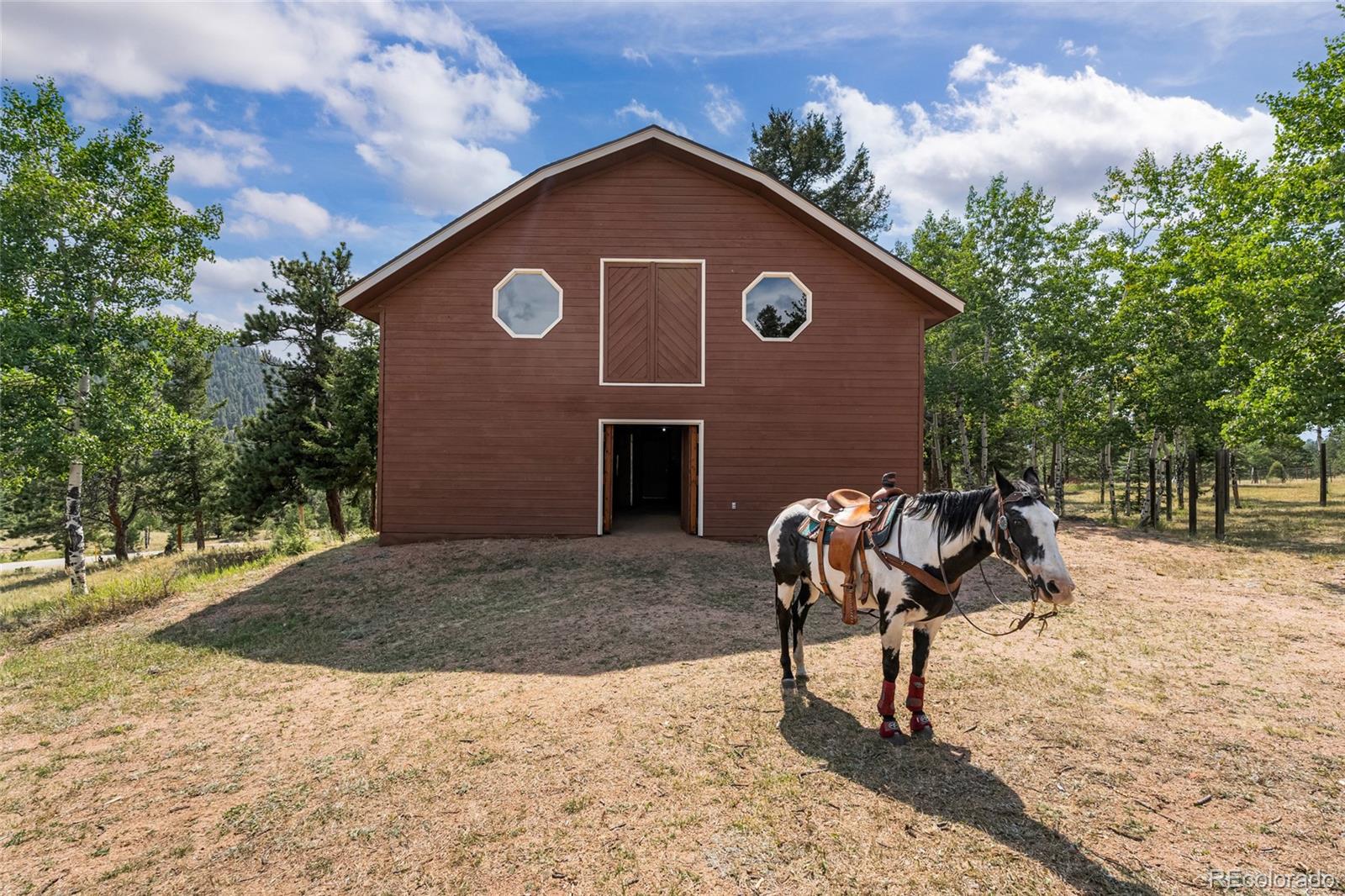 MLS Image #2 for 48  allen circle,pine, Colorado