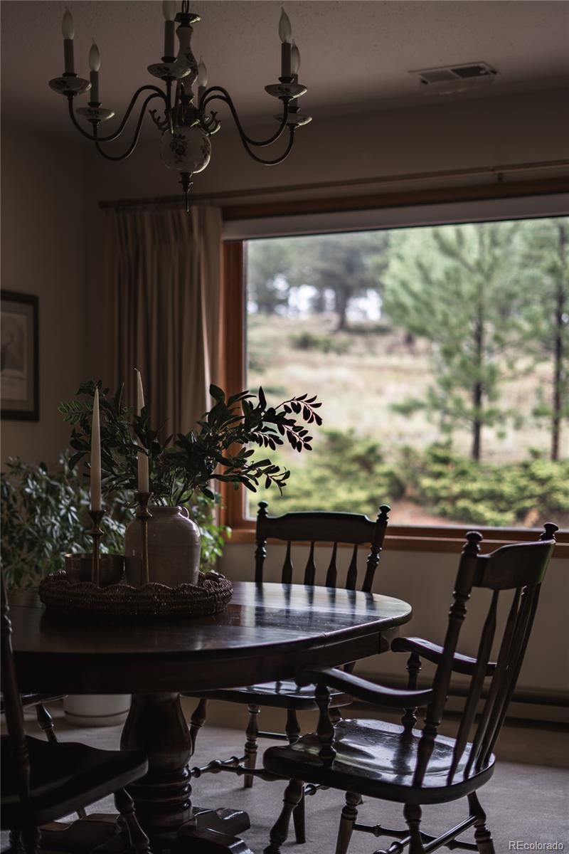 MLS Image #8 for 48  allen circle,pine, Colorado