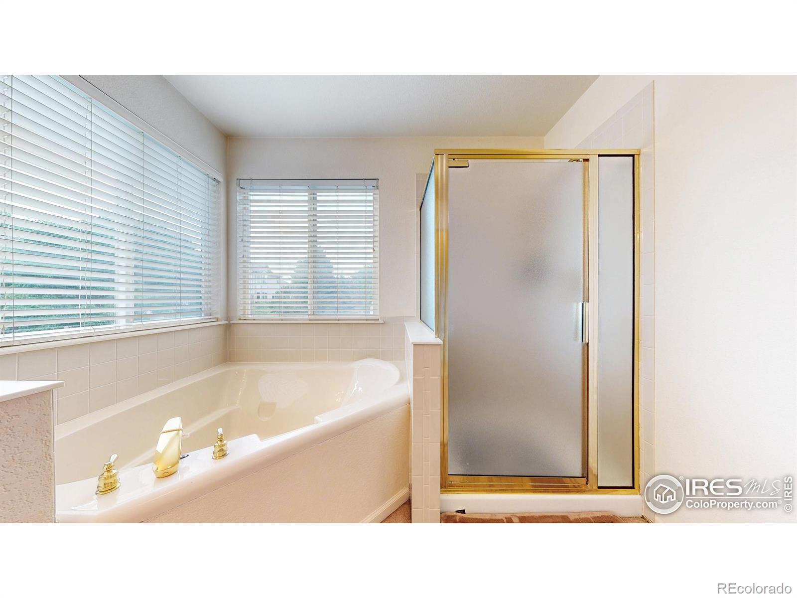MLS Image #19 for 618  silver star court,longmont, Colorado