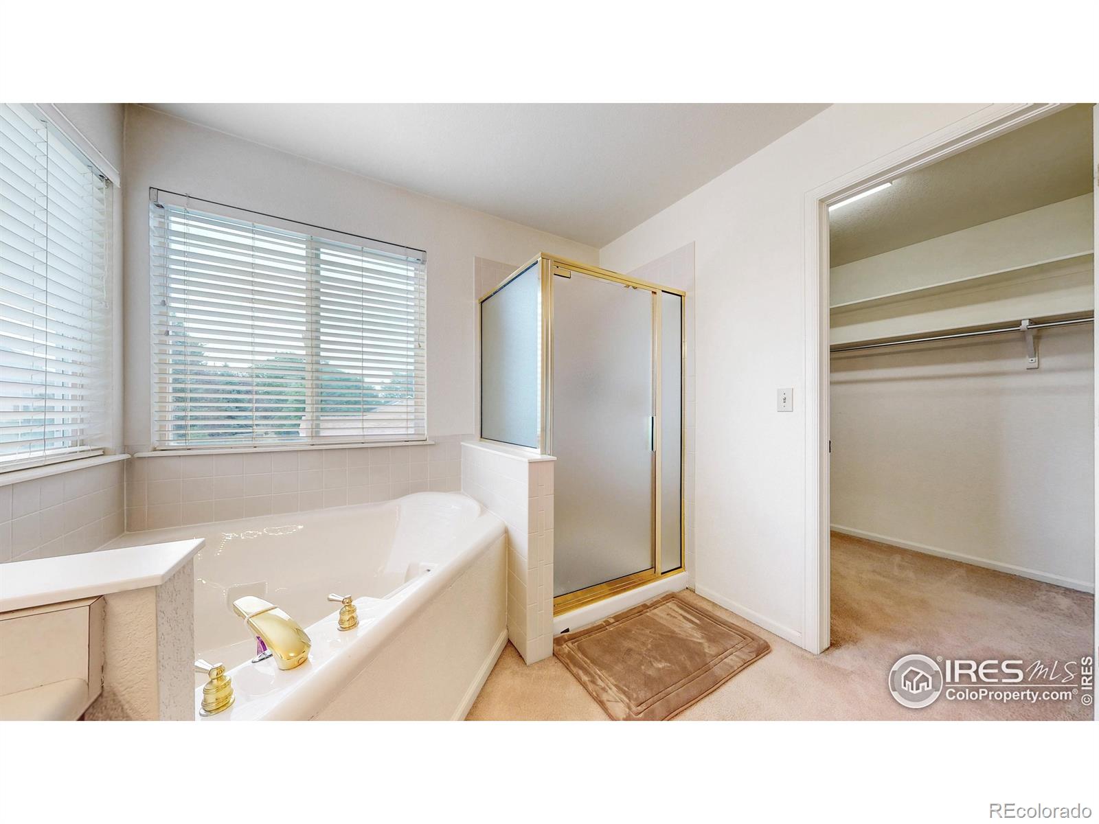 MLS Image #20 for 618  silver star court,longmont, Colorado