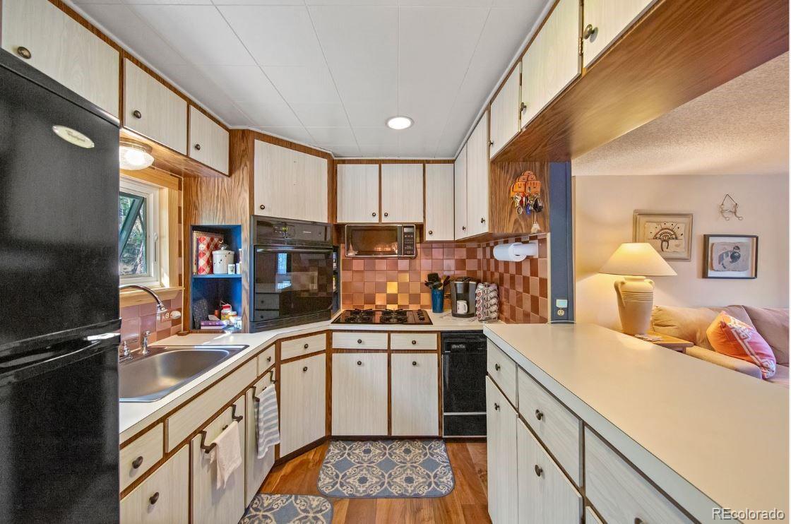 MLS Image #14 for 567  forest drive,bailey, Colorado