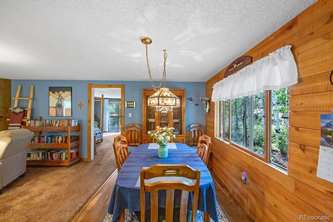 MLS Image #16 for 567  forest drive,bailey, Colorado