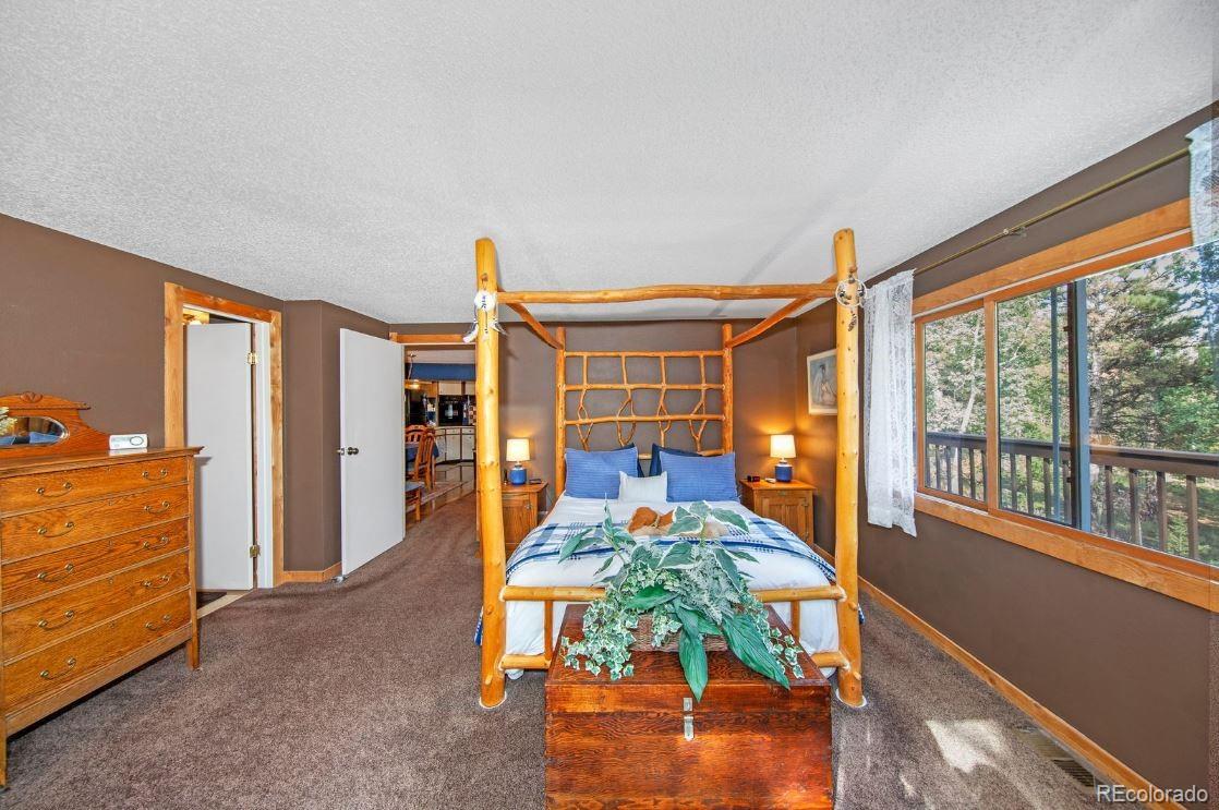 MLS Image #19 for 567  forest drive,bailey, Colorado