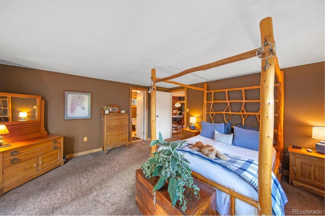 MLS Image #20 for 567  forest drive,bailey, Colorado