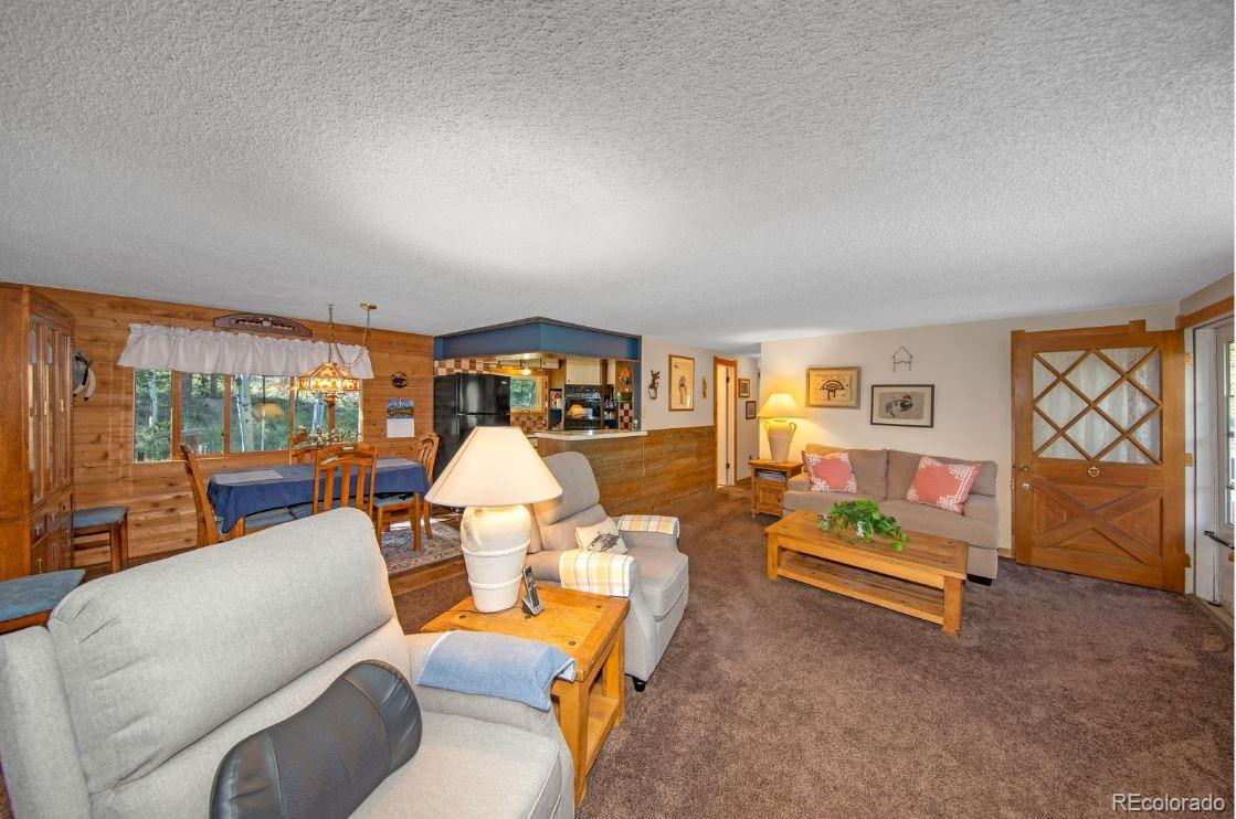 MLS Image #6 for 567  forest drive,bailey, Colorado