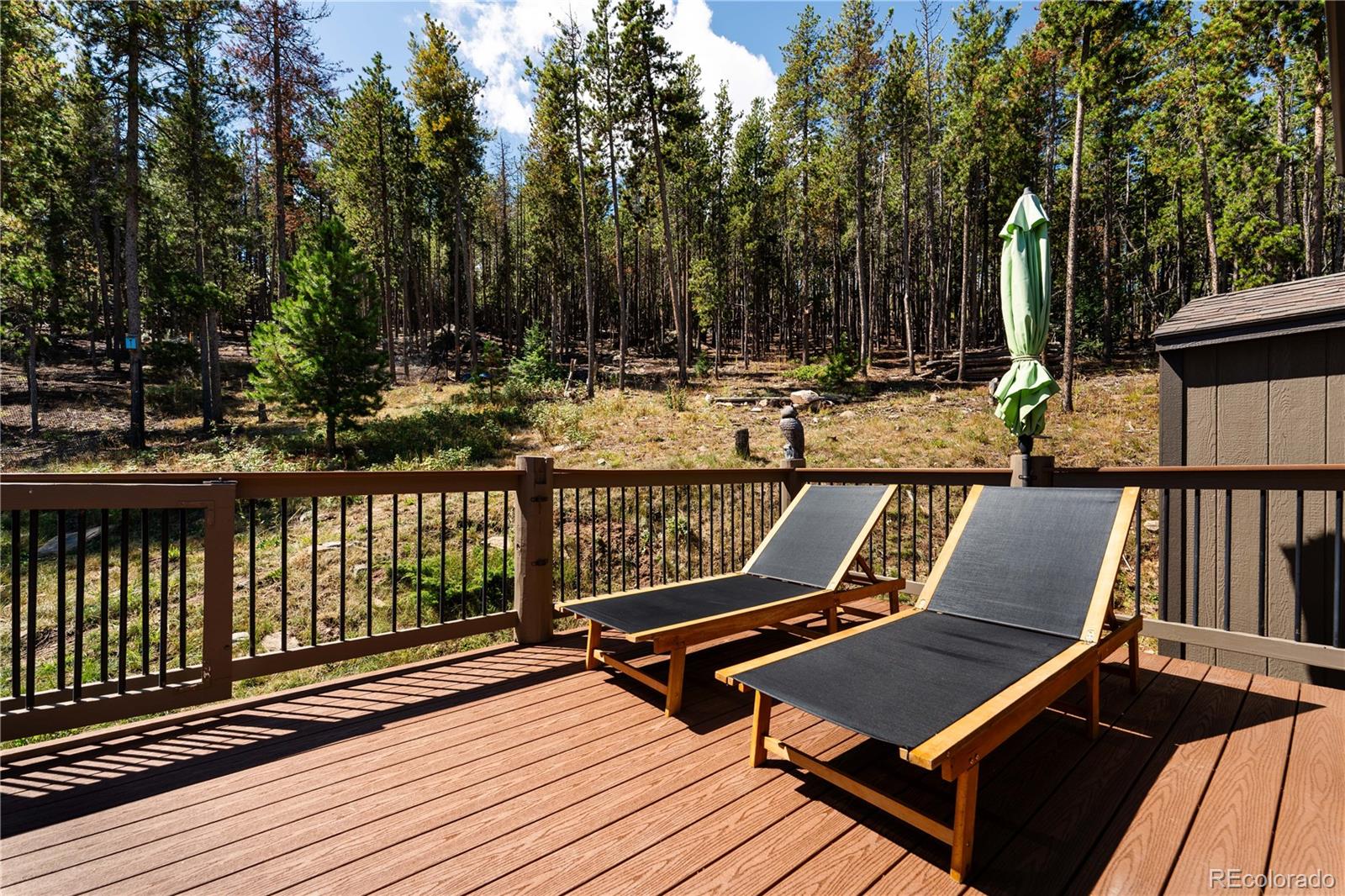 MLS Image #16 for 20254  goins drive,morrison, Colorado