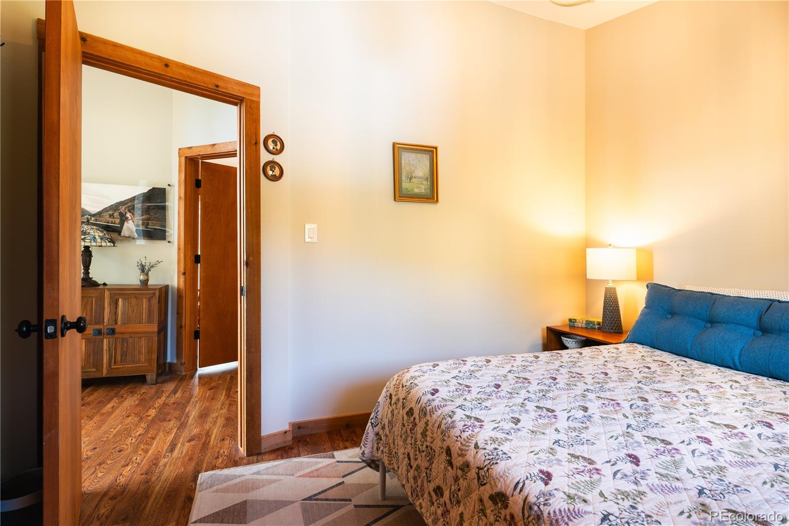 MLS Image #18 for 20254  goins drive,morrison, Colorado