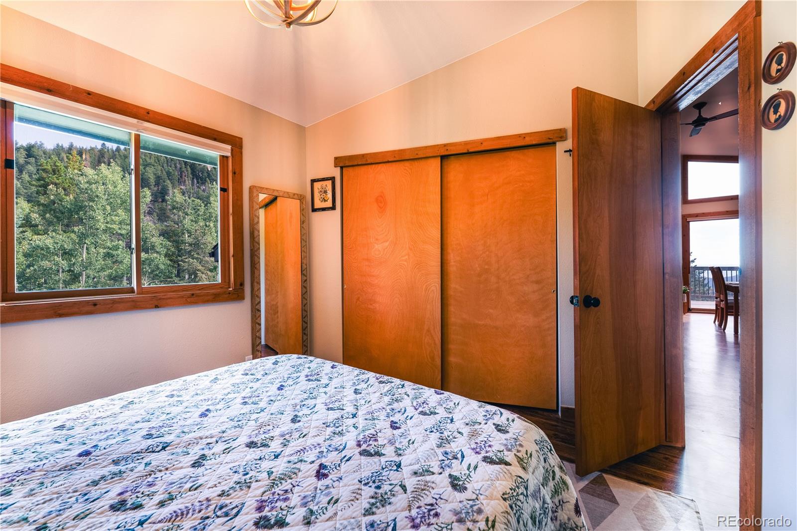 MLS Image #19 for 20254  goins drive,morrison, Colorado