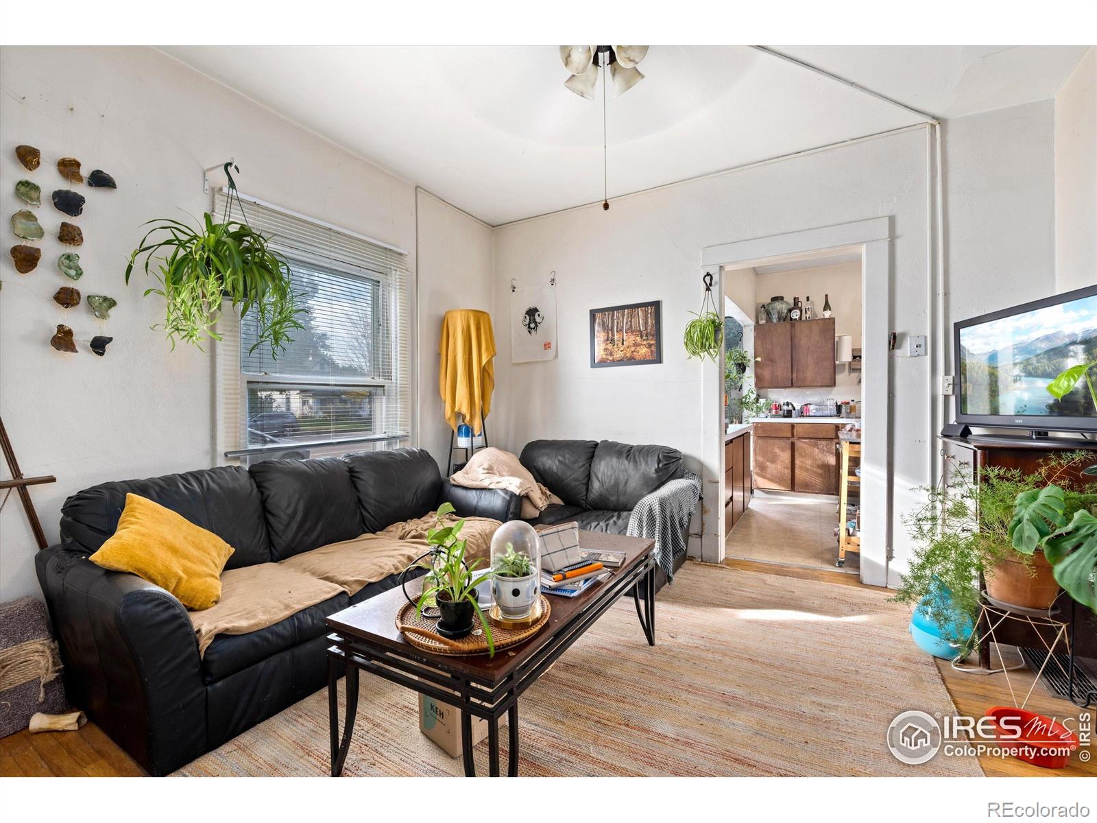 MLS Image #10 for 500 e magnolia street,fort collins, Colorado