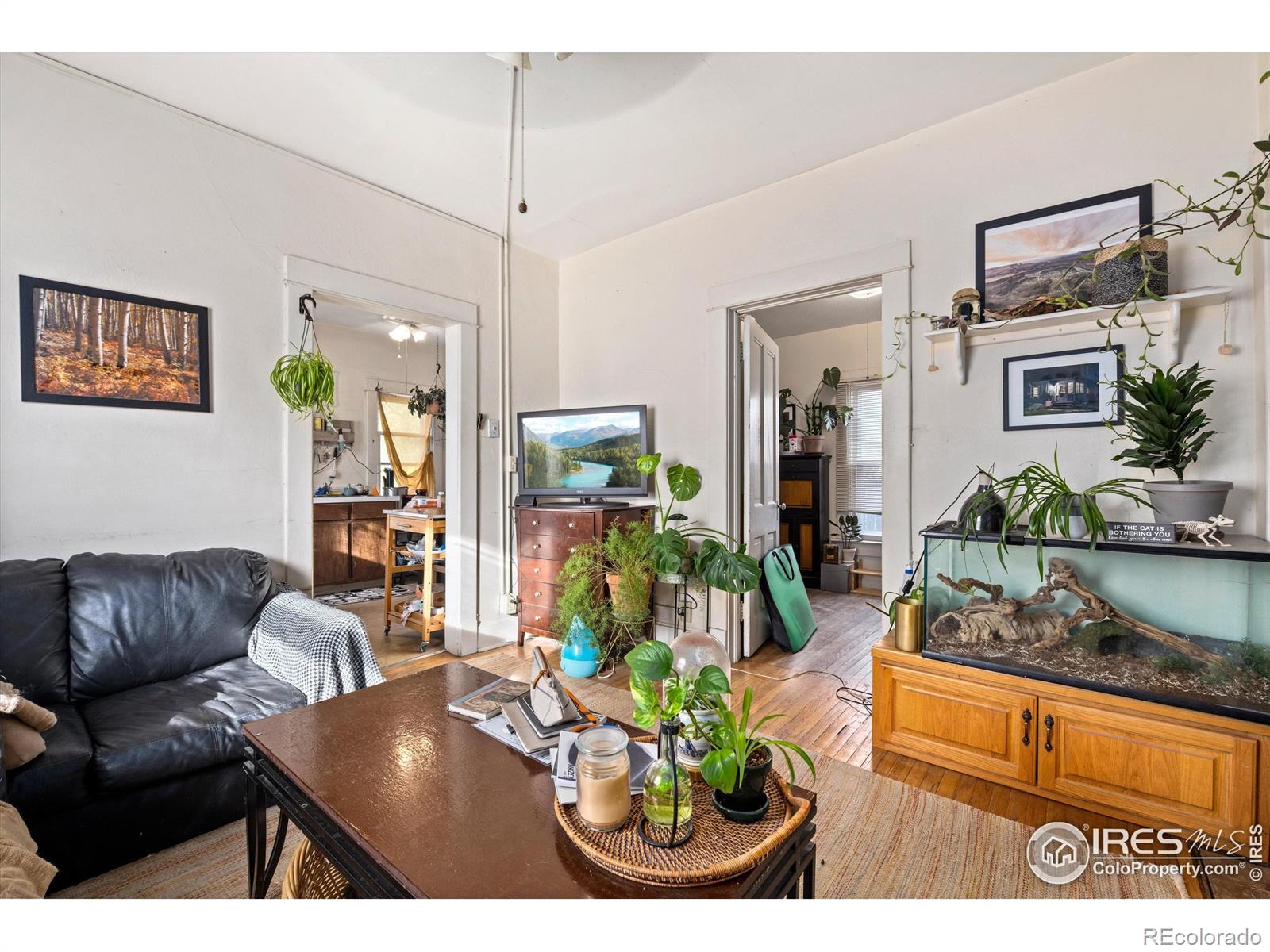 MLS Image #15 for 500 e magnolia street,fort collins, Colorado