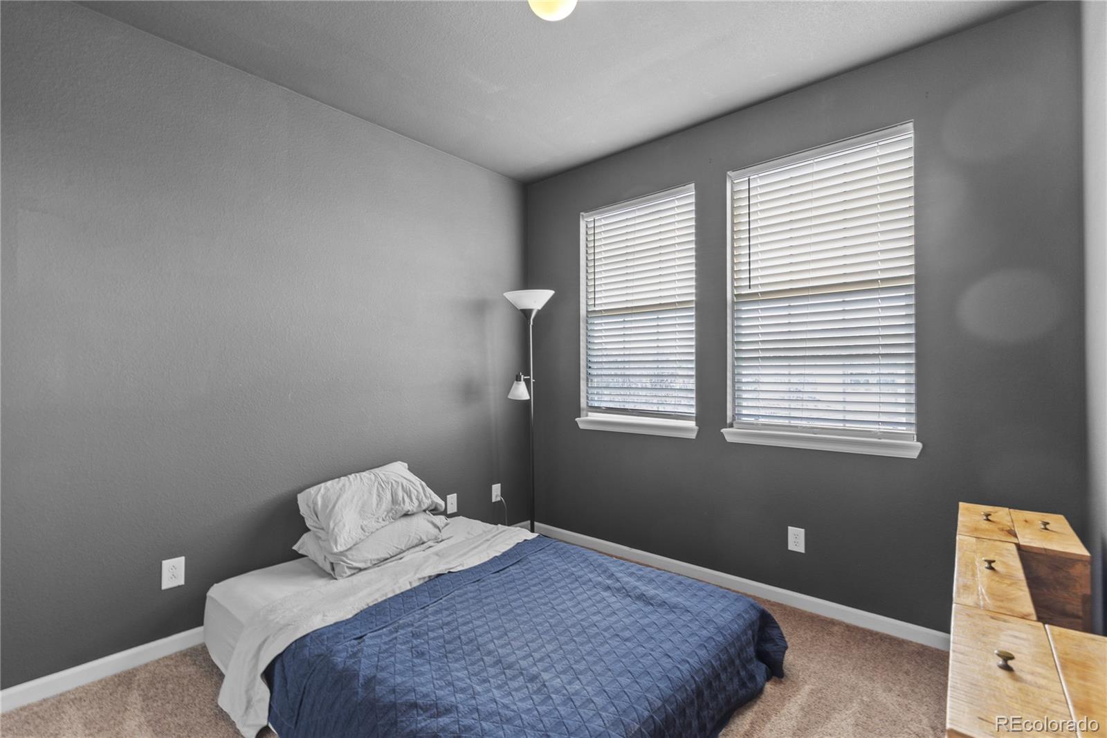 MLS Image #19 for 23245  york avenue ,parker, Colorado