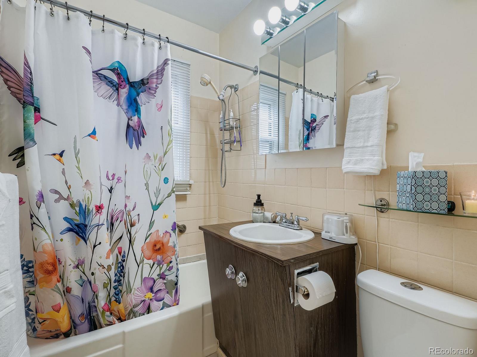 MLS Image #11 for 2574 s gilpin street,denver, Colorado