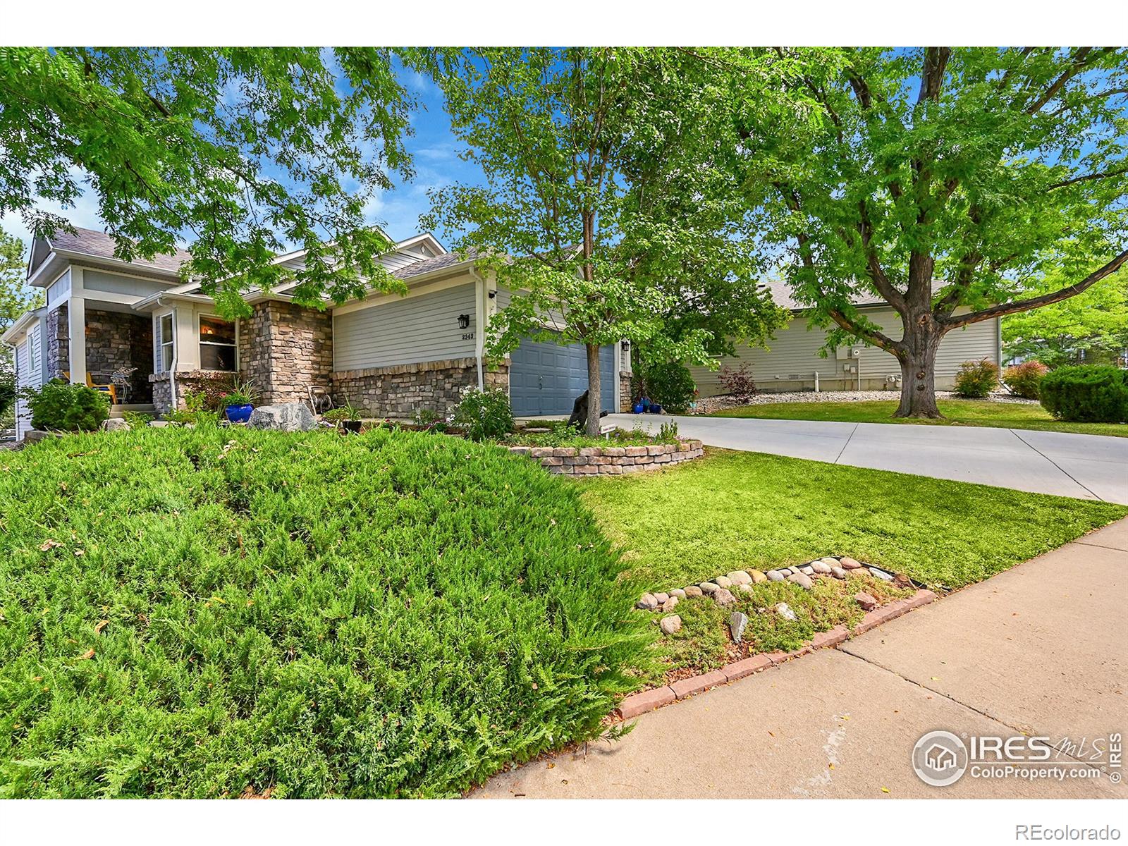 MLS Image #1 for 2343  lavender hill lane,lafayette, Colorado