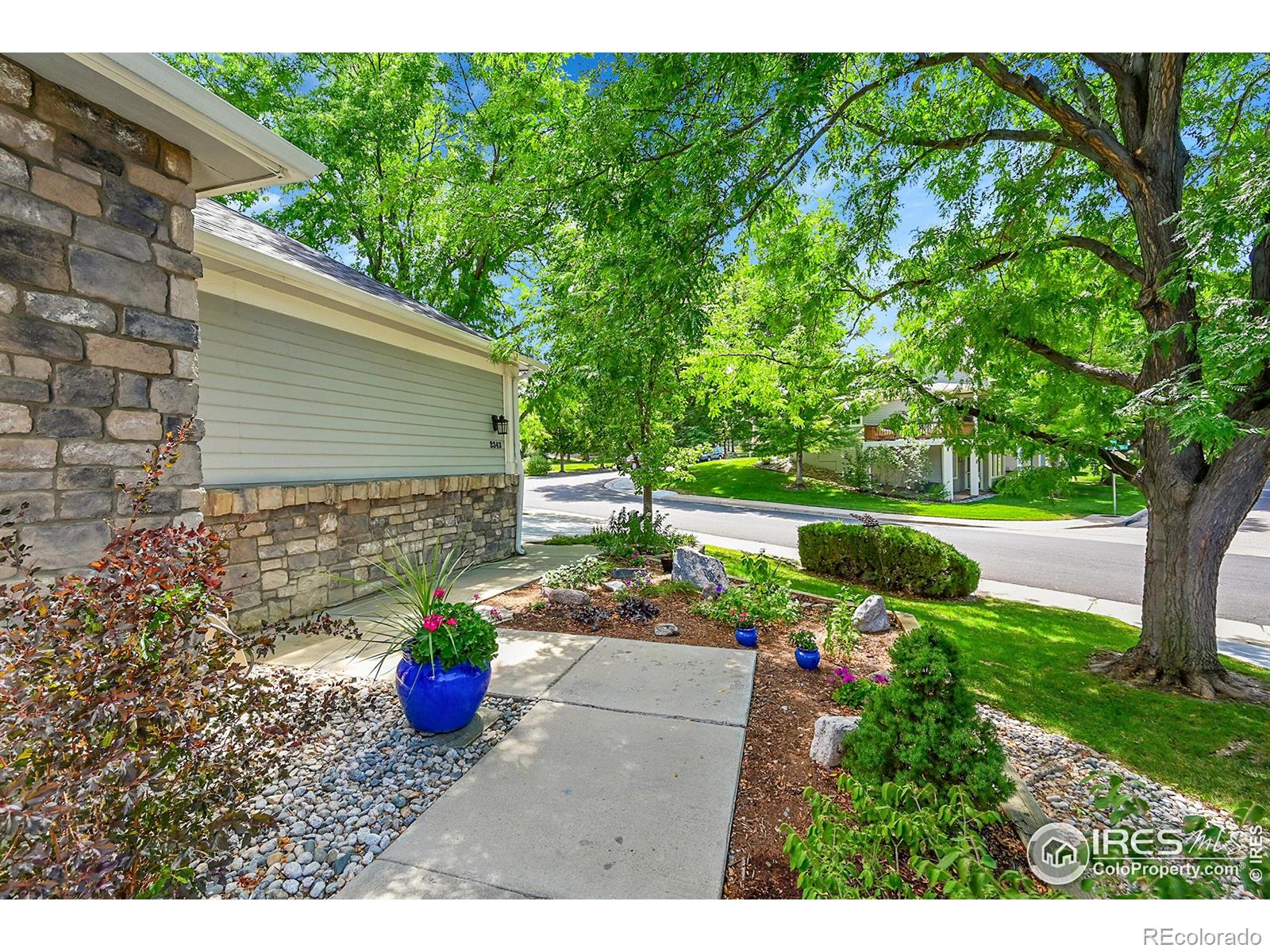 MLS Image #3 for 2343  lavender hill lane,lafayette, Colorado